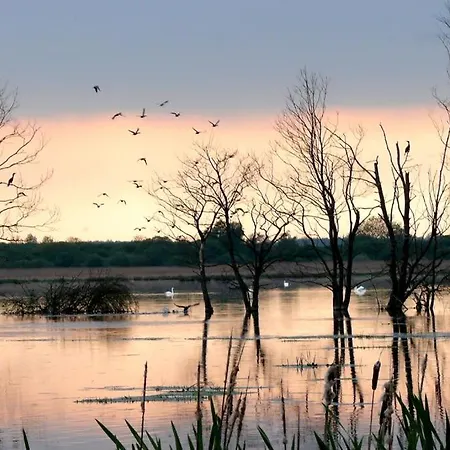호텔 Jagdschloss Kotelow