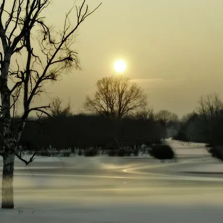 Jagdschloss 호텔 *