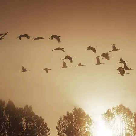 Jagdschloss 호텔 Kotelow